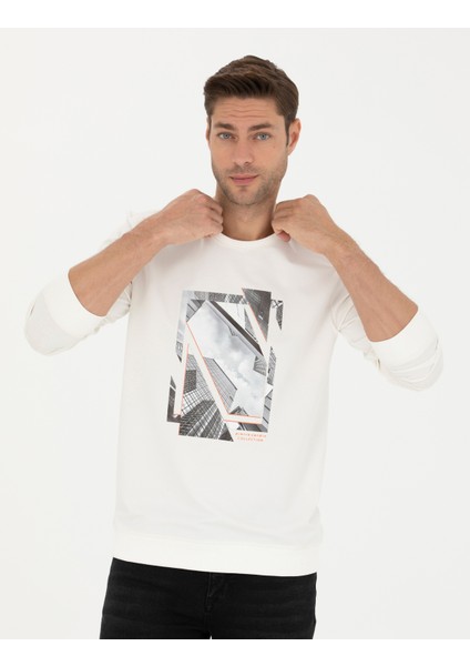 Erkek Ekru Regular Fit Sweatshirt 50273418-VR019