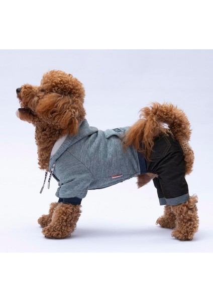 Gri New York Küçük Irk Köpek Tulumu fiyatları