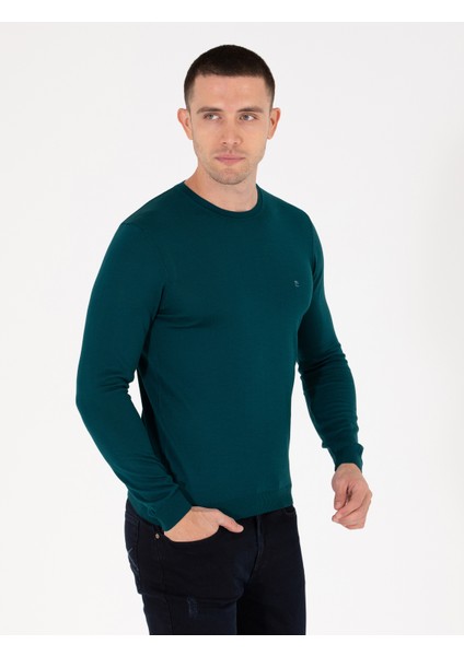 Erkek Yeşil Slim Fit Bisiklet Yaka Yün Karışımlı Basic Triko Kazak 50257301-VR054
