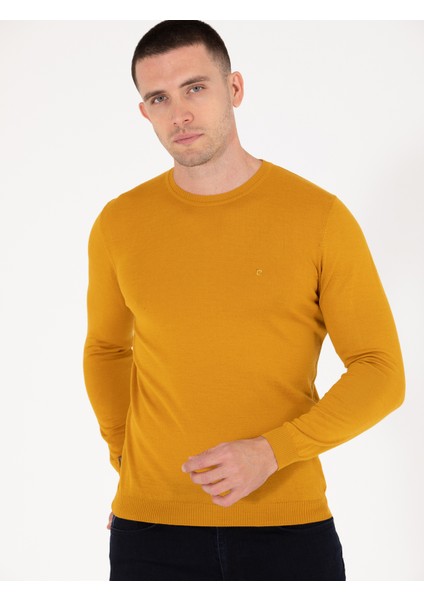 Erkek Safran Slim Fit Bisiklet Yaka Yün Karışımlı Basic Triko Kazak 50257301-VR043 fiyatları