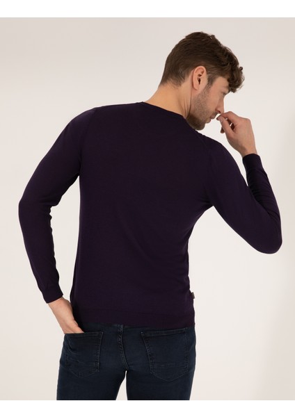 Erkek Mor Slim Fit Bisiklet Yaka Yün Karışımlı Basic Triko Kazak 50257301-VR038 modelleri