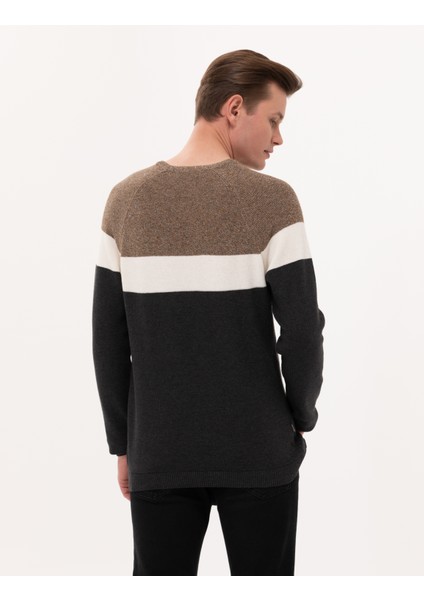 Erkek Kahverengi Slim Fit Bisiklet Yaka Triko Kazak 50259863-VR163 indirimleri