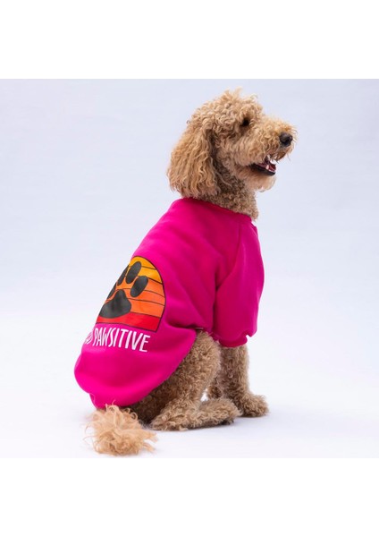 Pembe Carmel Polarlı Orta-Büyük Irk Köpek Sweatshirtü