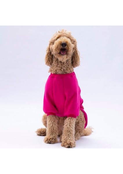 Pembe Carmel Polarlı Orta-Büyük Irk Köpek Sweatshirtü