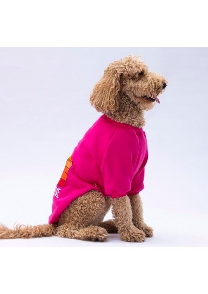 Pembe Carmel Polarlı Orta-Büyük Irk Köpek Sweatshirtü