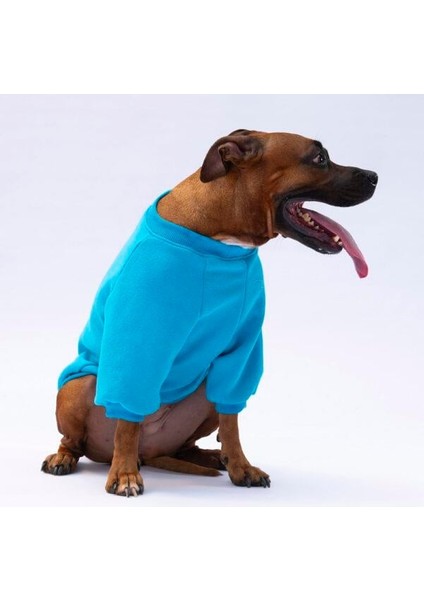 Turkuaz Carmel Polarlı Orta-Büyük Irk Köpek Sweatshirtü fiyatları