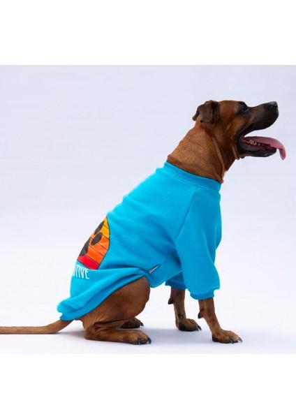 Turkuaz Carmel Polarlı Orta-Büyük Irk Köpek Sweatshirtü modelleri