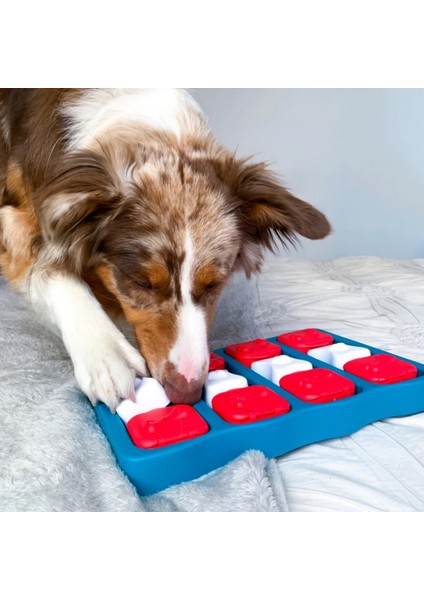 Dog Brick Interactive Puzzle Köpek Zeka Oyuncağı