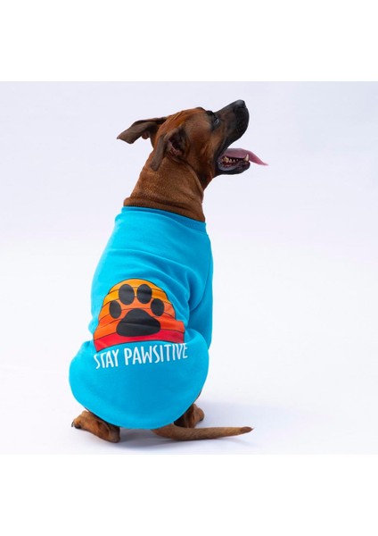 Turkuaz Carmel Polarlı Orta-Büyük Irk Köpek Sweatshirtü