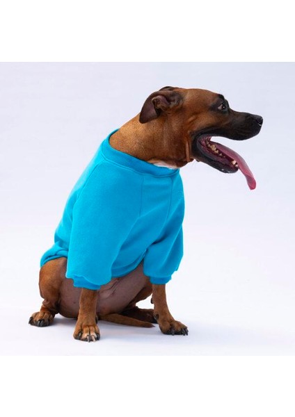 Turkuaz Carmel Polarlı Orta-Büyük Irk Köpek Sweatshirtü fiyatları