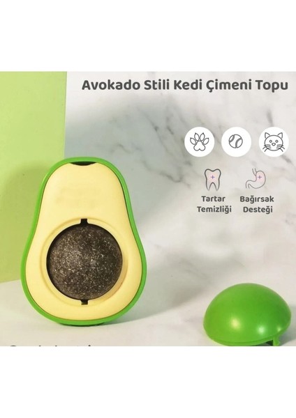 Avokado Kedi Otu Kedi Nanesi