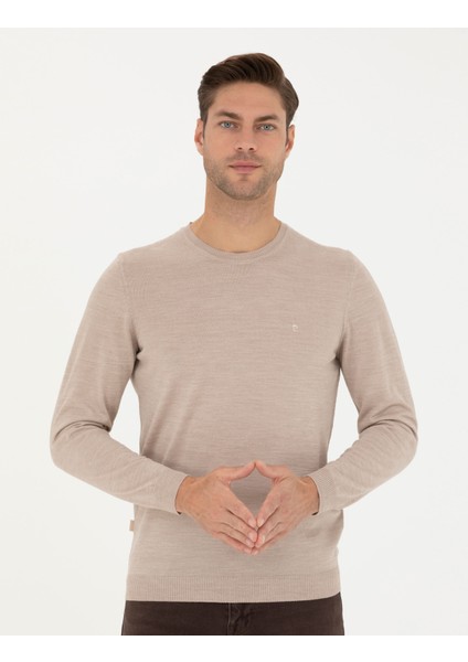 Erkek Taş Slim Fit Bisiklet Yaka Yün Karışımlı Basic Triko Kazak 50270054-VR049