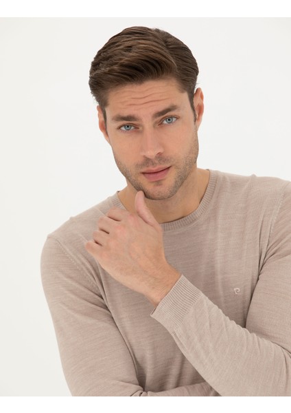 Erkek Taş Slim Fit Bisiklet Yaka Yün Karışımlı Basic Triko Kazak 50270054-VR049 fiyatları