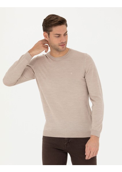 Erkek Taş Slim Fit Bisiklet Yaka Yün Karışımlı Basic Triko Kazak 50270054-VR049 modelleri