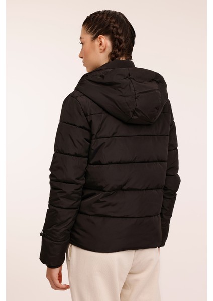 Wl Karına 2SN71 4pr Siyah Kadın Kısa Kaban fiyatları