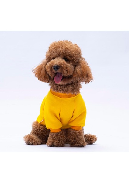 Sarı Lahti Polarlı Küçük Irk Köpek Sweatshirtü modelleri