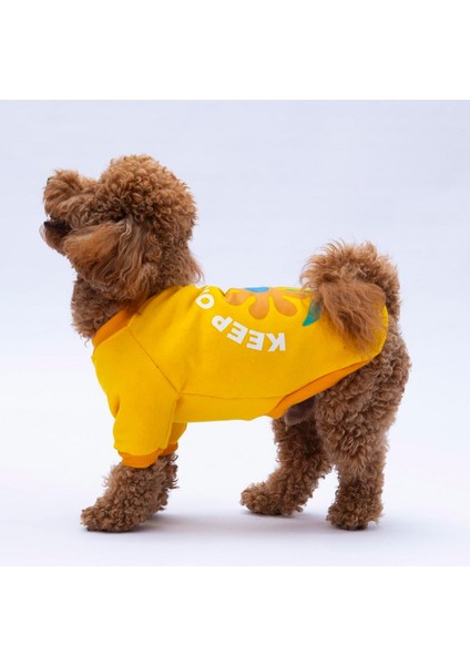 Sarı Lahti Polarlı Küçük Irk Köpek Sweatshirt