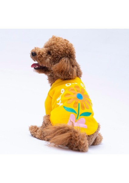 Sarı Lahti Polarlı Küçük Irk Köpek Sweatshirt