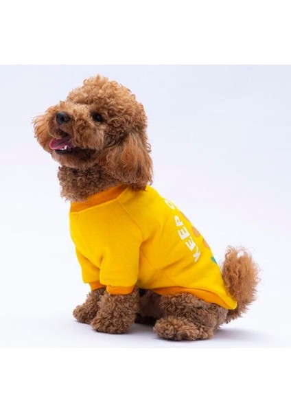 Sarı Lahti Polarlı Küçük Irk Köpek Sweatshirt