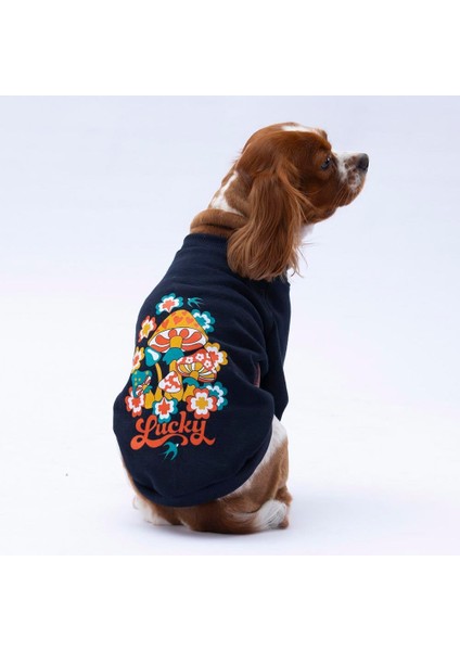 Siyah Chongqing Polarlı Küçük Irk Köpek Sweatshirtü
