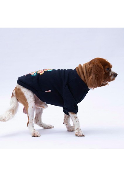 Siyah Chongqing Polarlı Küçük Irk Köpek Sweatshirtü fiyatları