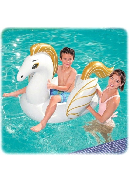 Byrgrb Pegasus Binici 159 x 109 cm  - 41121 Byrnew