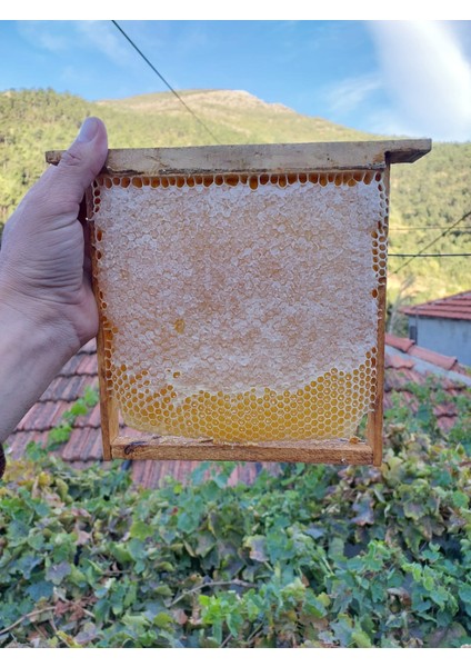 Doğal Karakovan Petek Balı 1,2 kg