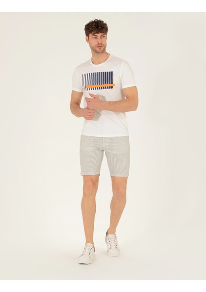 Erkek Gri Slim Fit Beli Lastikli Çizgili Bağcıklı Bermuda Şort 50264862-VR025