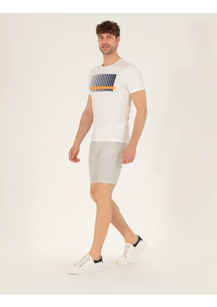 Erkek Gri Slim Fit Beli Lastikli Çizgili Bağcıklı Bermuda Şort 50264862-VR025