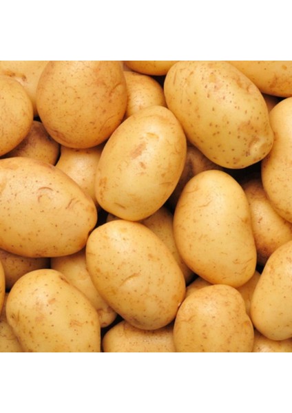 Yemeklik Patates 10 kg