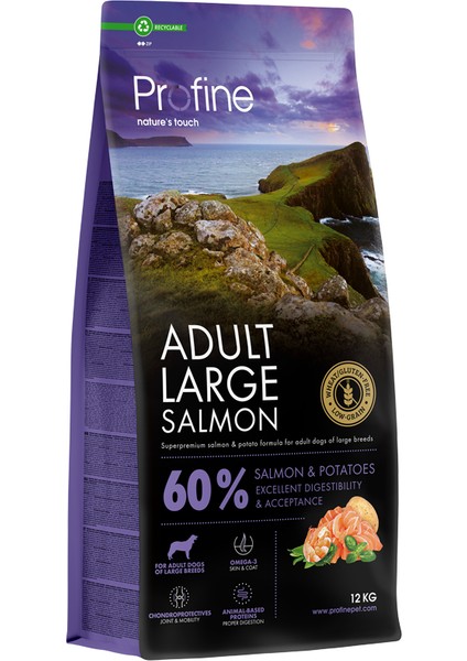 Gluten Free Adult Large Salmon 12KG