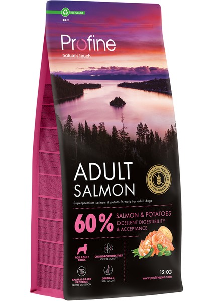 Gluten Free Adult Salmon 12KG