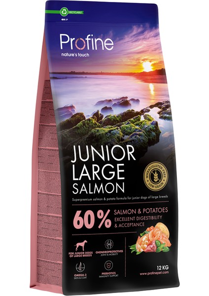 Gluten Free Junior Large Salmon 12KG