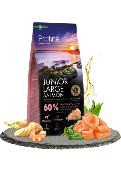 Gluten Free Junior Large Salmon 12KG