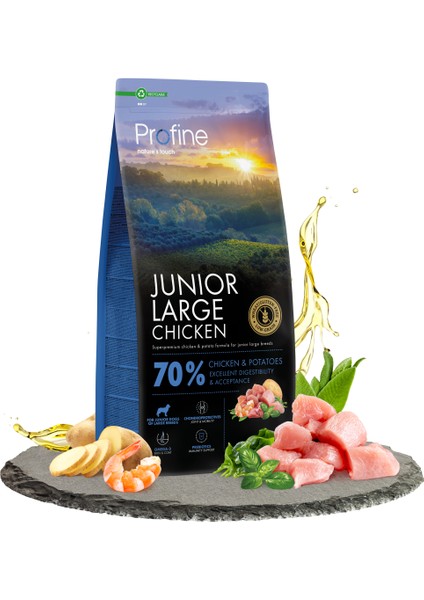 Gluten Free Junior Large Chicken 12KG