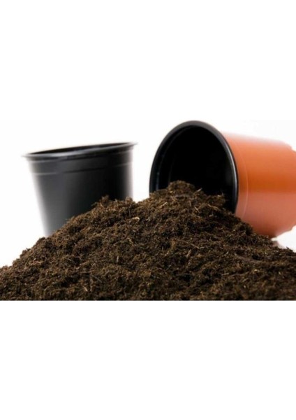 Saksı Bahçe Çim Lavanta ve Gül Için Toprak Torf 15 Kğ
