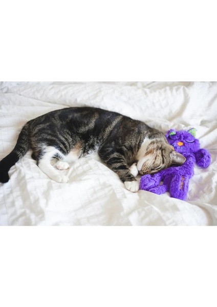 Purr Pillow Mırıldayan Kedi Sarılma Oyuncağı