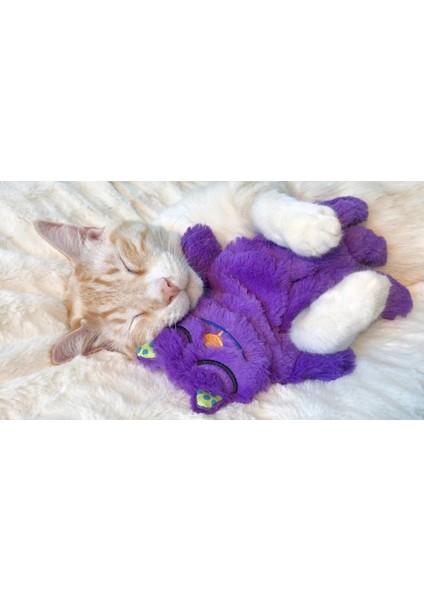 Purr Pillow Mırıldayan Kedi Sarılma Oyuncağı