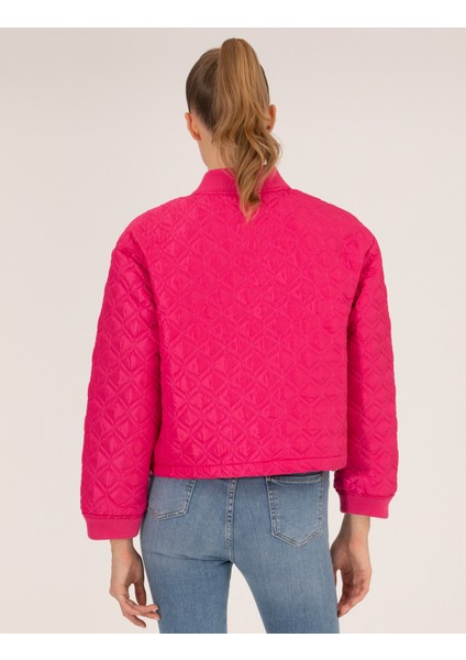 Kadın Fuşya Crop Top Mont 50263118-VR023