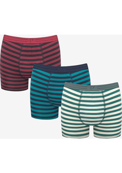 Bold 3lü Çizgili Çok Renkli Boxer Külot