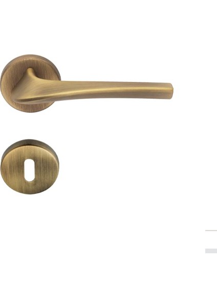 Master Kapı Kolu Oda Tipi Antik Bronz Renkli 2'li Avantaj Paket
