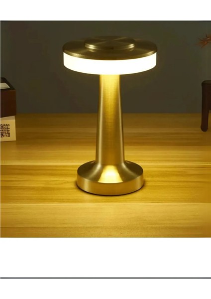 Dekoratif Şarjlı Dokunmatik LED Metal Masa Lambası USB Kablolu Abajur ve Gece Lambası Altın