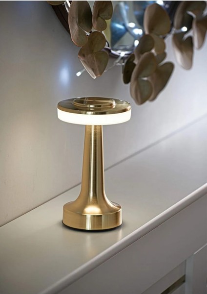 Dekoratif Şarjlı Dokunmatik LED Metal Masa Lambası USB Kablolu Abajur ve Gece Lambası Altın modelleri