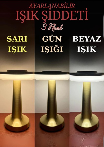 Dekoratif Şarjlı Dokunmatik LED Metal Masa Lambası USB Kablolu Abajur ve Gece Lambası Altın indirimleri