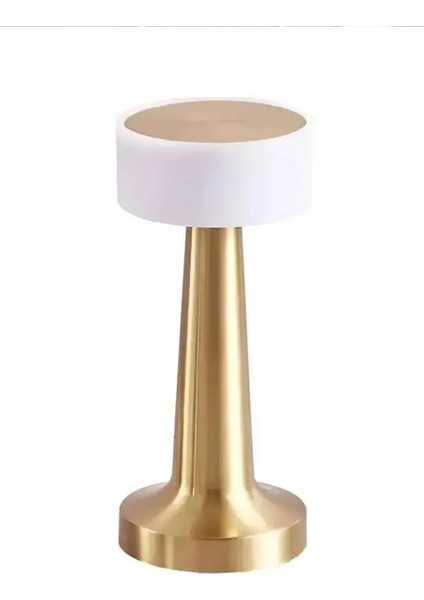 Dekoratif Şarjlı Dokunmatik LED Metal Masa Lambası USB Kablolu Gece Lambası ve Abajur Altın