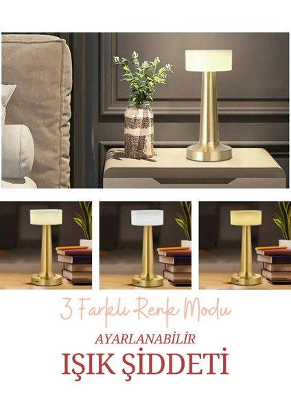 Dekoratif Şarjlı Dokunmatik LED Metal Masa Lambası USB Kablolu Gece Lambası ve Abajur Altın fiyatları
