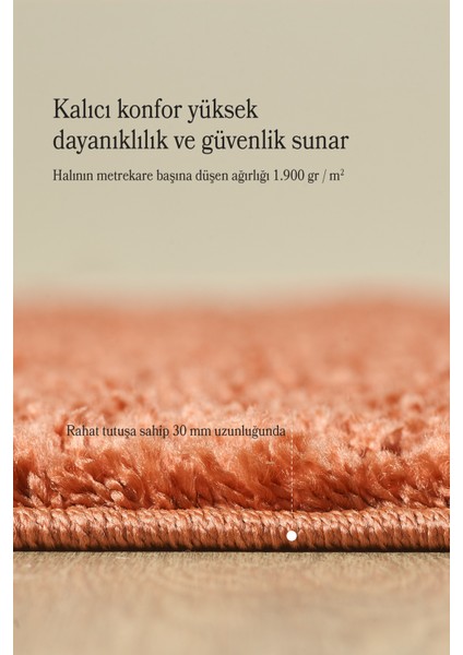 Modern Düz Desen Kahverengi Oturma Odası Halısı Salon Halısı Uzun Tüylü Yumuşak Dokulu Kolay Bakım