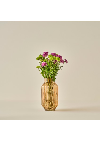 Nilda Cam Vazo Amber (12x23 cm)