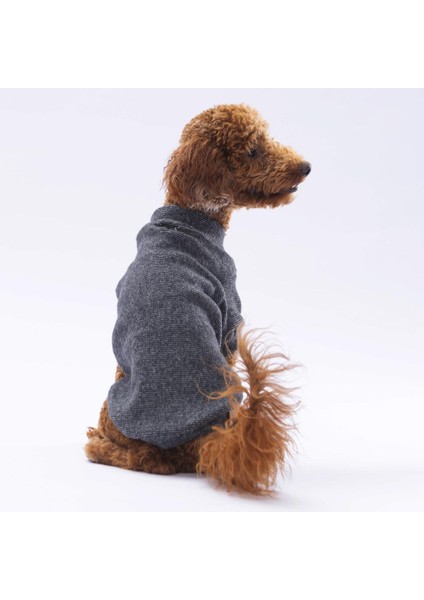 Siyah Merino Kedi Köpek Sweat- Kedi Köpek Kıyafeti