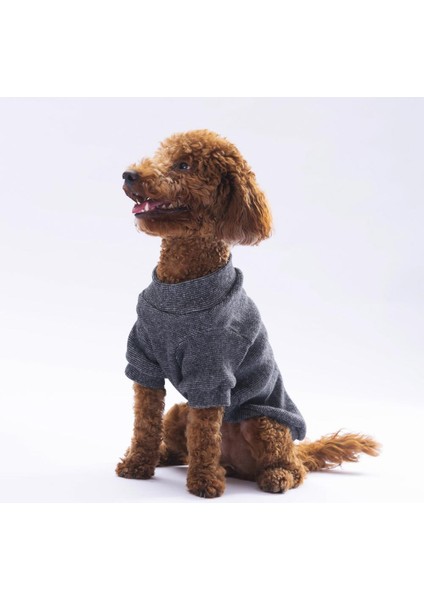 Siyah Merino Kedi Köpek Sweat- Kedi Köpek Kıyafeti fiyatları